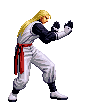 Andy_KOF_Mugen_Char