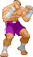 Sagat_SF1_Remake