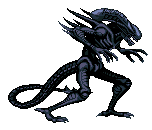 Alien-Warrior