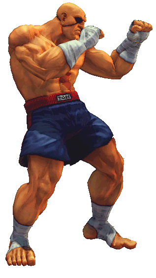 Sagat_SFIV